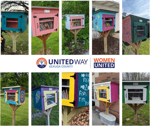 Collage of 10 little libraries