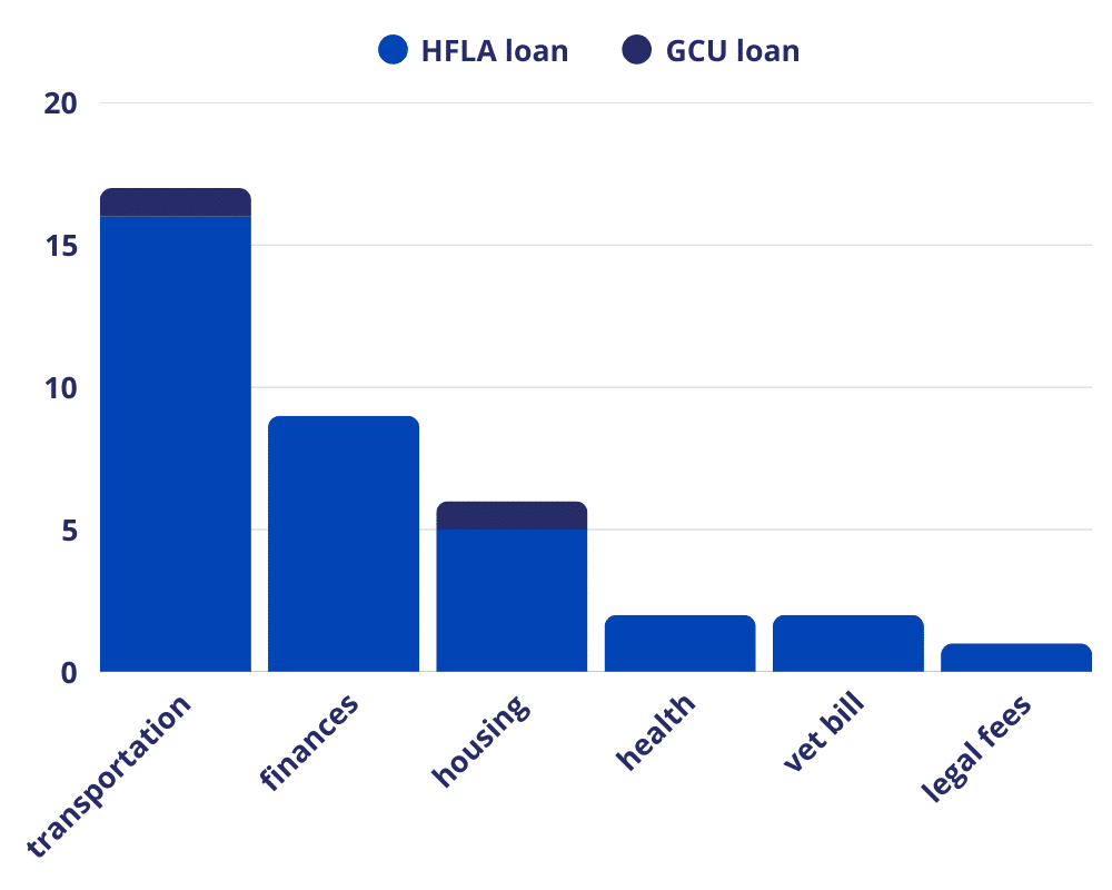 graph showing that car related expenses were the highest number of loans
